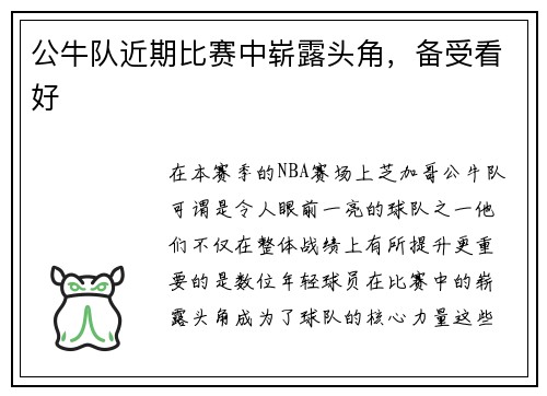 公牛队近期比赛中崭露头角，备受看好